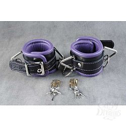  ���������� ������� ��������� � ���������� ���������