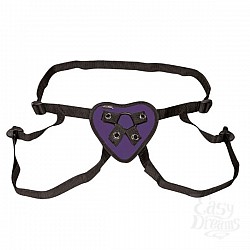  ������� � ���������� ��������� ��� ��������