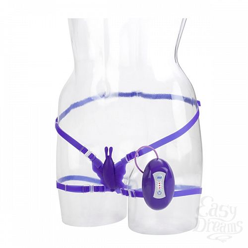  2   7 FUNCTION BUTTERFLY BLISS PURPLE 0582-45BXSE