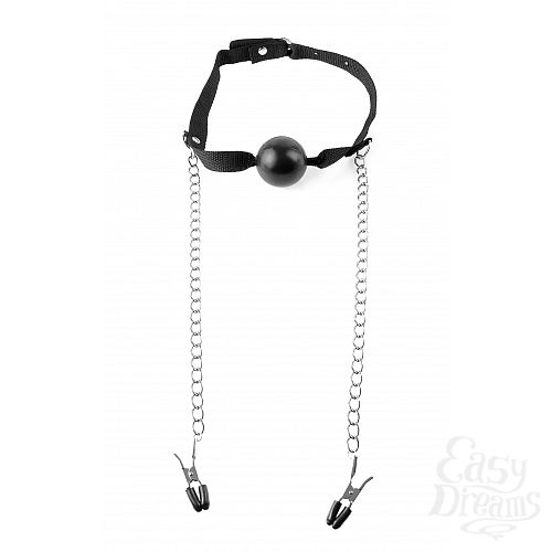  4   Fetish Fantasy Series Ball Gag & Nipple Clamps    