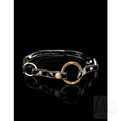  2  - Fetish Fantasy Gold O-Ring Gag   
