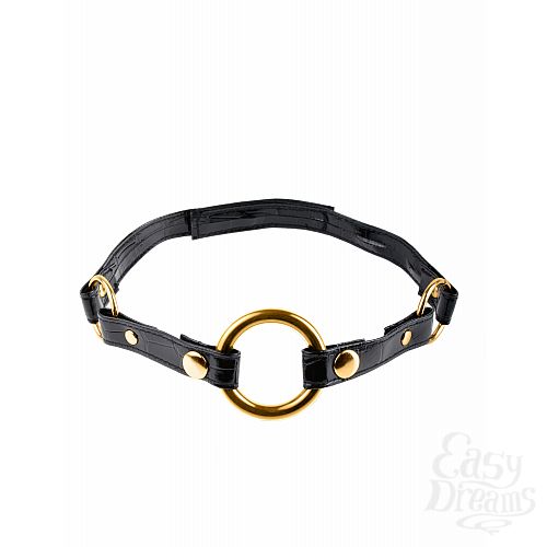  3  - Fetish Fantasy Gold O-Ring Gag   