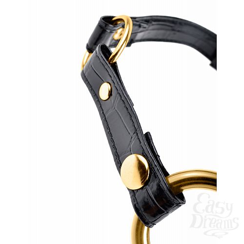  5  - Fetish Fantasy Gold O-Ring Gag   