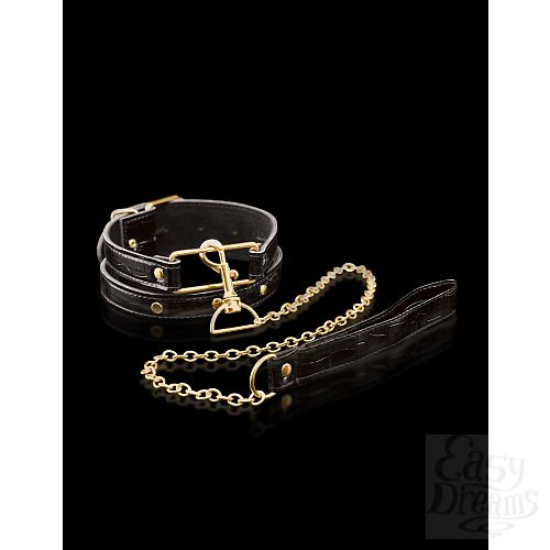  2   Fetish Fantasy Gold Collar & Leash     