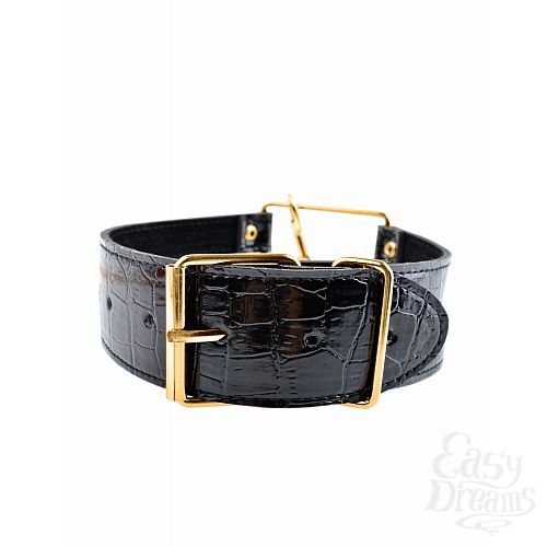 3   Fetish Fantasy Gold Collar & Leash     