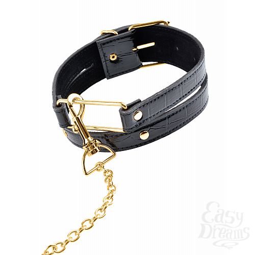  4   Fetish Fantasy Gold Collar & Leash     