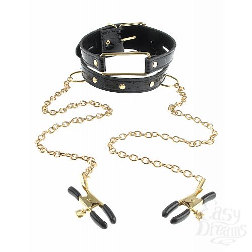  3   Fetish Fantasy Gold Collar and Nipple Clamps       