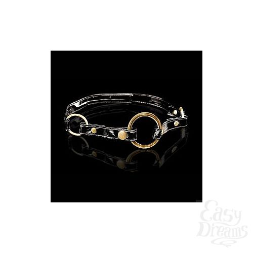  1:  - Fetish Fantasy Gold O-Ring Gag
