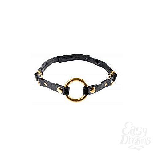  2  - Fetish Fantasy Gold O-Ring Gag