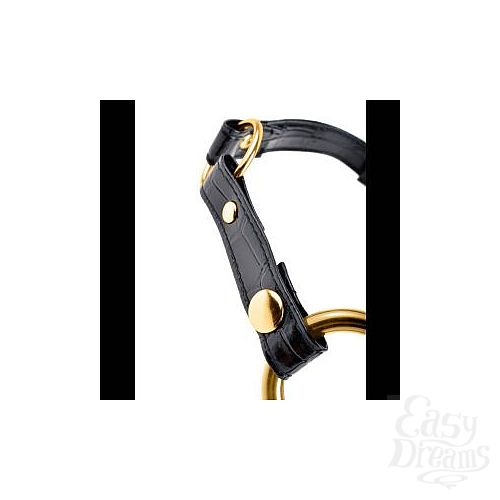  3  - Fetish Fantasy Gold O-Ring Gag