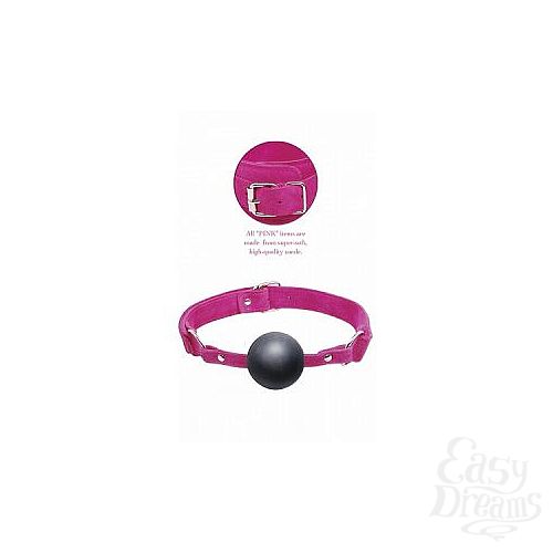  2   Ball Gag