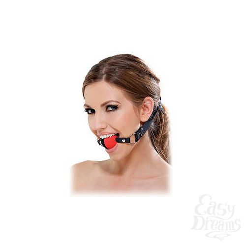  1:    Two Tone Ball Gag