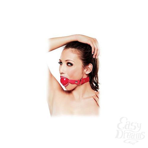  1:   Ruby Ball Gag