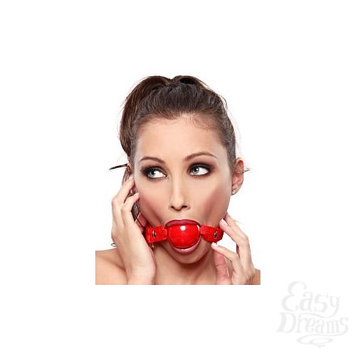  2   Ruby Ball Gag