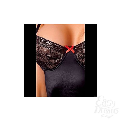 ���������� 2  ������� Tigra