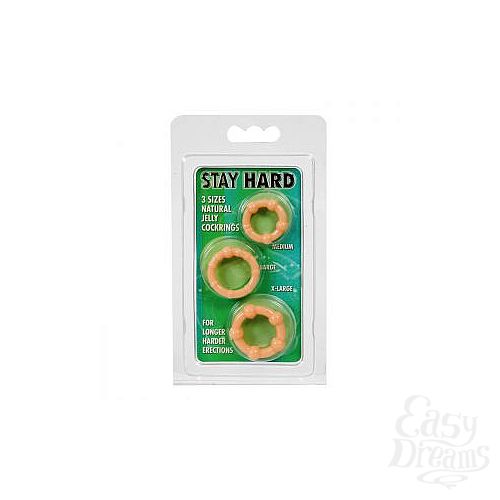  2        STAY HARD