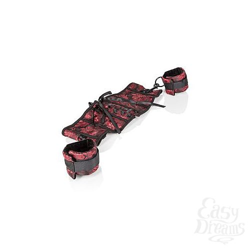 ���������� 4  ������ � ����������� Scandal Corset with Cuffs 