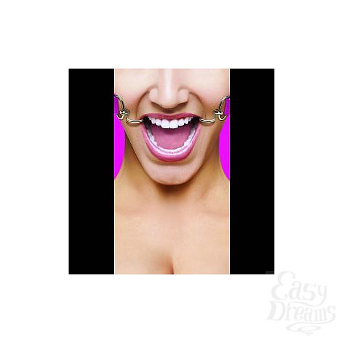  1:     Hook Gag