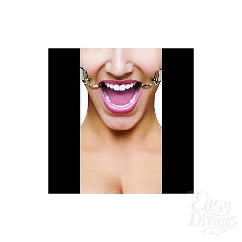  1:     Hook Gag