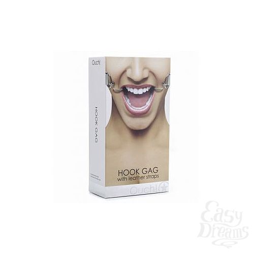  2     Hook Gag