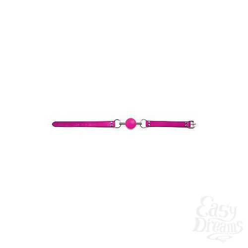  3  -    Solid Ball Gag