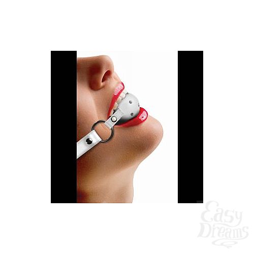  1:    Gag Ball  