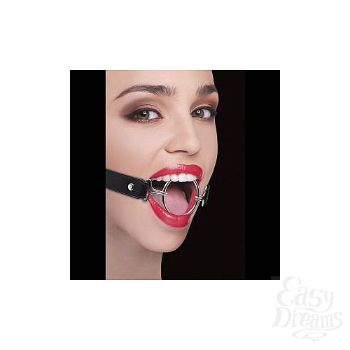  1:    Ring Gag XL   