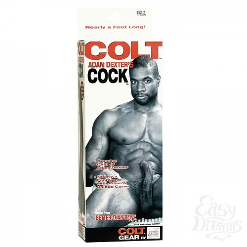  2   COLT ADAM DEXTER DONG 6826-03BXSE