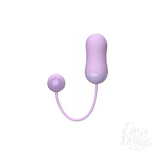  1:    BIBI REMOTE EGG 