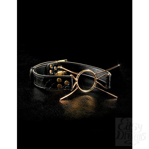  3  - Deluxe Spider Gag   