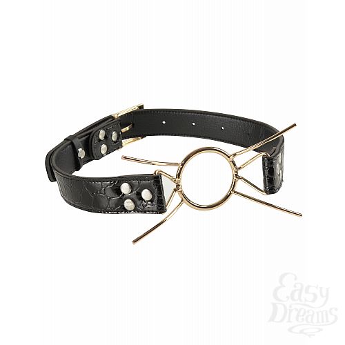 4  - Deluxe Spider Gag   