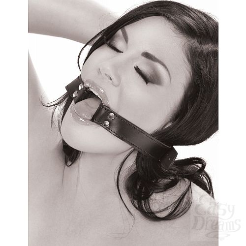  2  - O-Ring Gag 