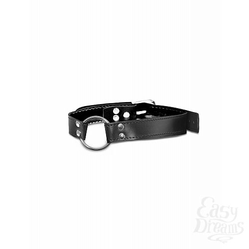  3  - O-Ring Gag 