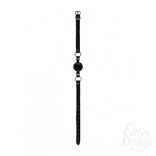 1:   BAD ROMANCE Black SH-BAD008