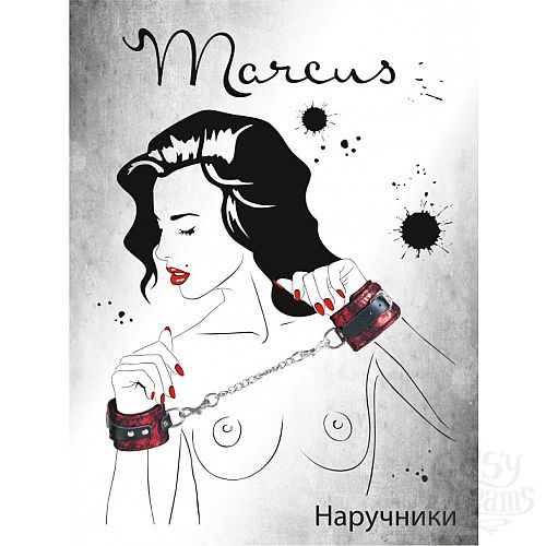 ���������� 3  ������� ��������� ��������� 