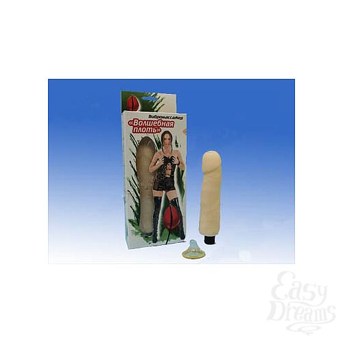 ���������� 1:  ������������� Magic Flech