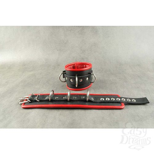 ���������� 1:  ׸���� ��������� ��������� � 3 �������� D-�������� � ������� ���������