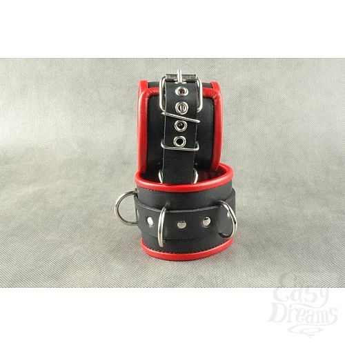 ���������� 3  ׸���� ��������� ��������� � 3 �������� D-�������� � ������� ���������