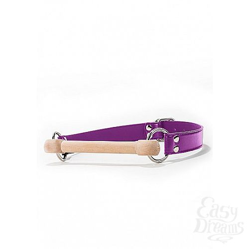  1:    Wooden Bridle   tpe
