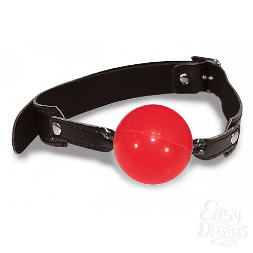  2        Solid Ball Gag