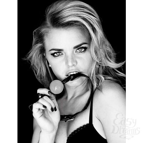  3        Solid Ball Gag