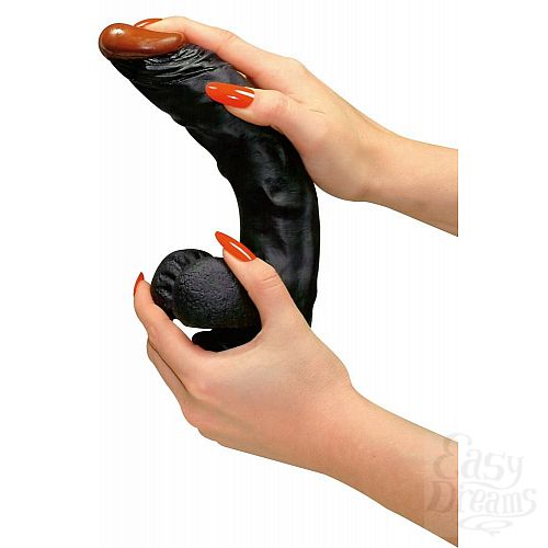  2      ReactionDong - 22 .
