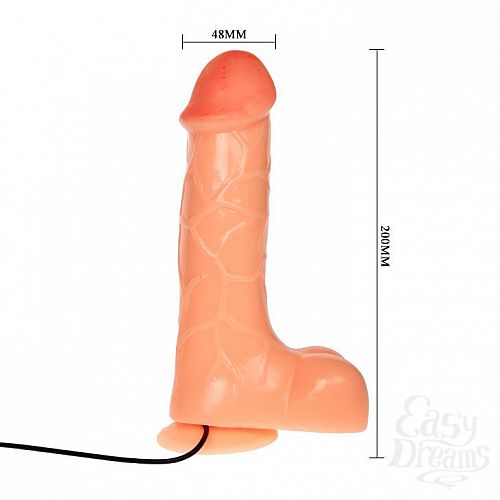 ���������� 3  �������� ��������-��������� �� �������� - 20 ��.