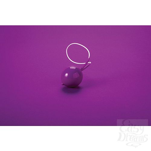 3     Geisha Super Purple 