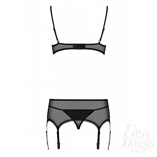 ���������� 6  �������� Musca � ���������� ��������� �� ����