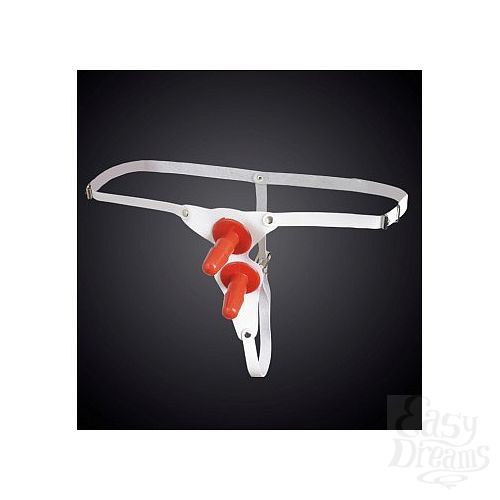 ���������� 1:  ������� �������, �������������, � ����� ��������� ��� �������, �����