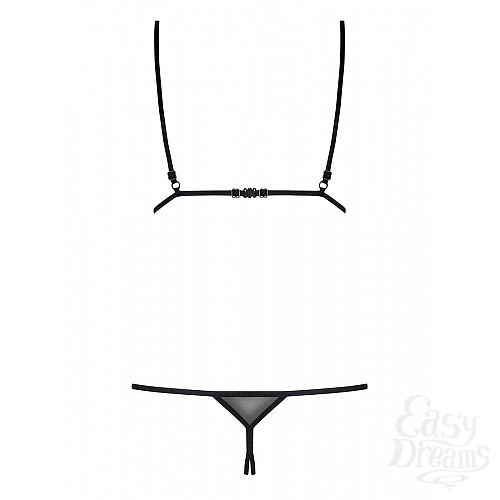 ���������� 6  �������� � ������������� �������� Platinesa