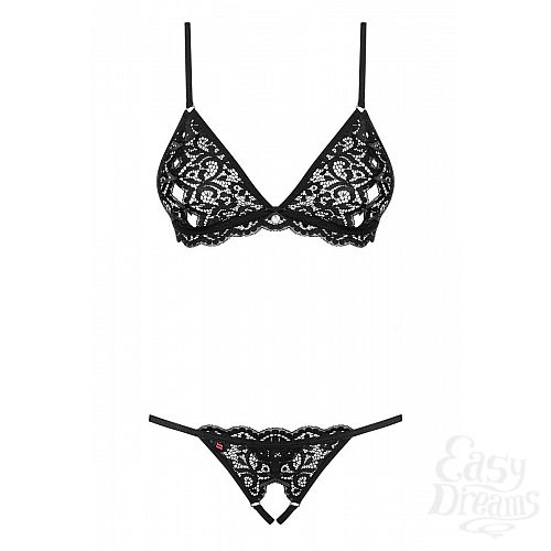 ���������� 3  ������ �������� �� ������� �������