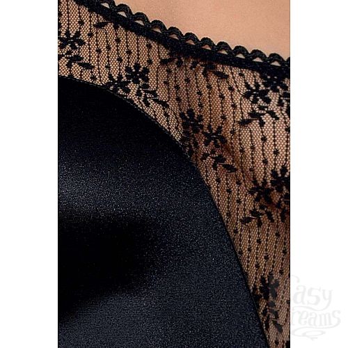 ���������� 3  �������������� ���� Petra � ������� �����