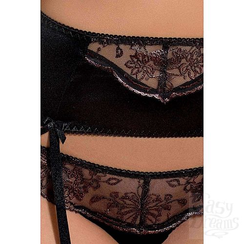 ���������� 3  ������ ��������������� �������� Brida � �������� �����